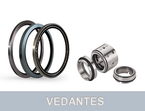 VEDANTES
