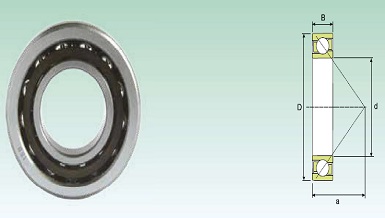 Rol Esferas Contato Angular