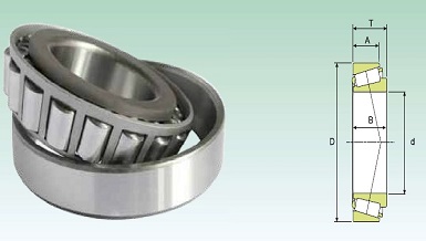 Rol Rolos Conicos Polegadas