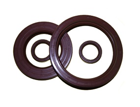 retentor viton